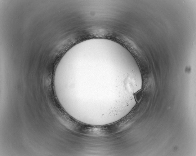 X0000093600365200710291149