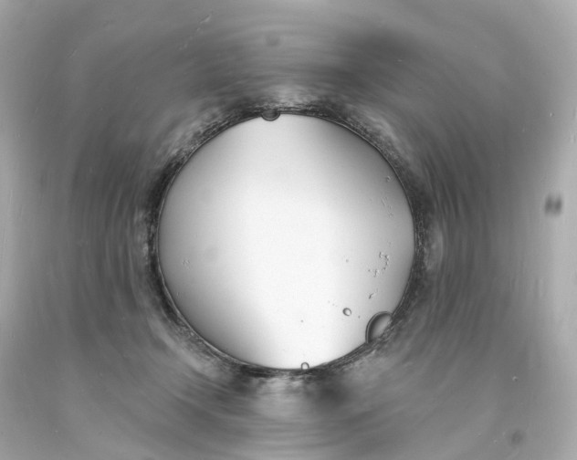 X0000093600366200710291149