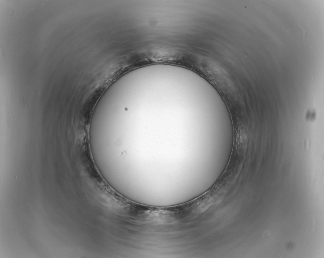 X0000093600367200710291149