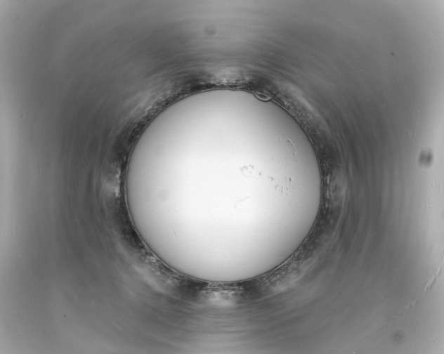 X0000093600368200710291149