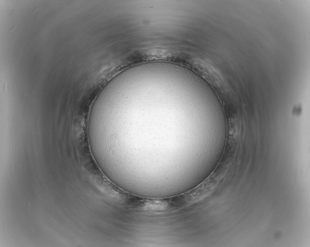 X0000093600369200710291149