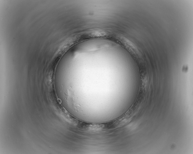 X0000093600373200710291149