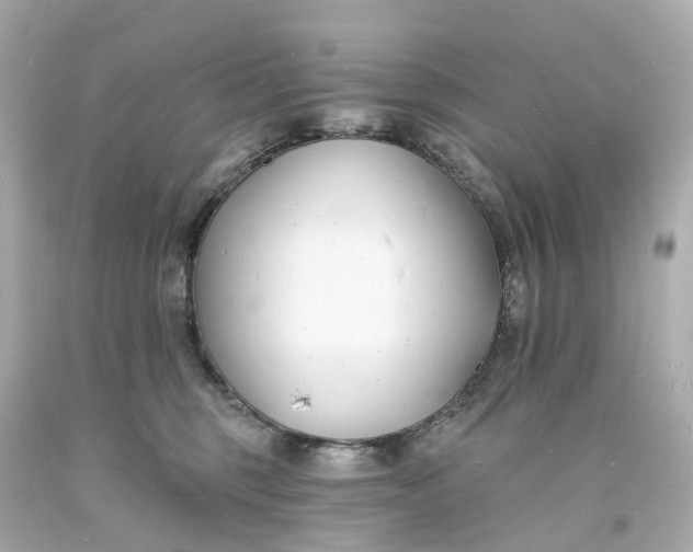 X0000093600375200710291149