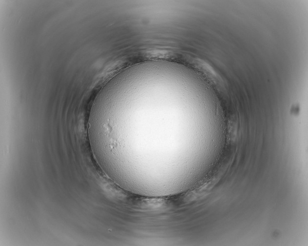 X0000093600377200710291149