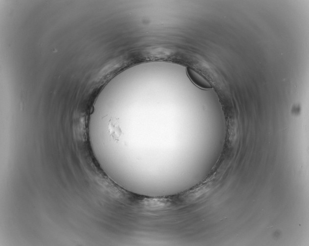 X0000093600378200710291149