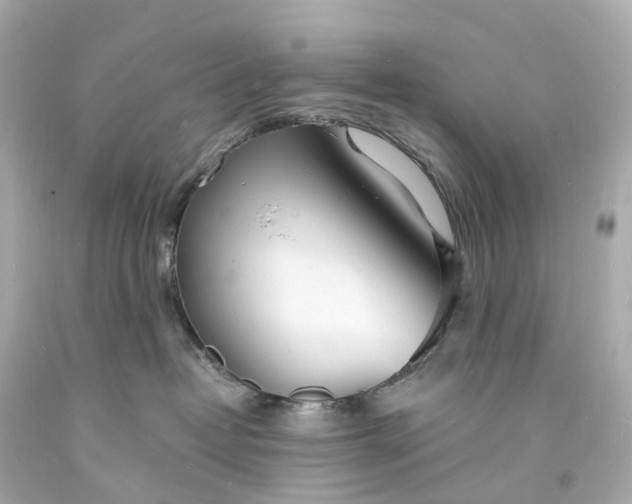 X0000093600382200710291149