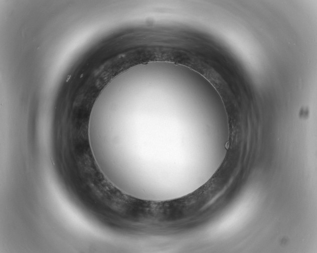 X0000093600383200710291149