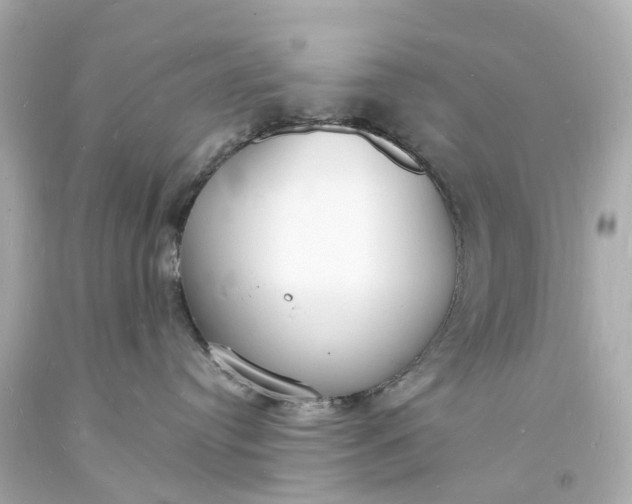 X0000093600384200710291149