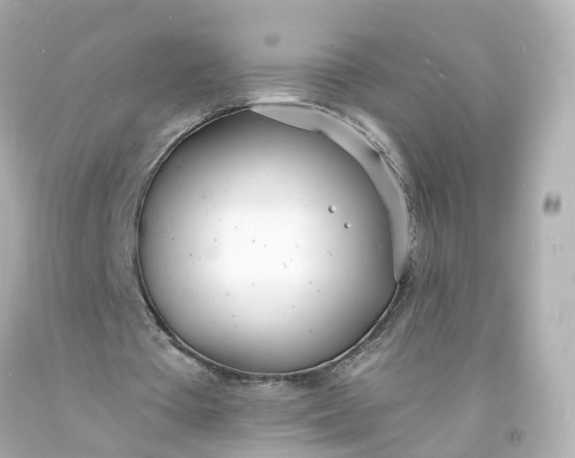 X0000093600385200710291149