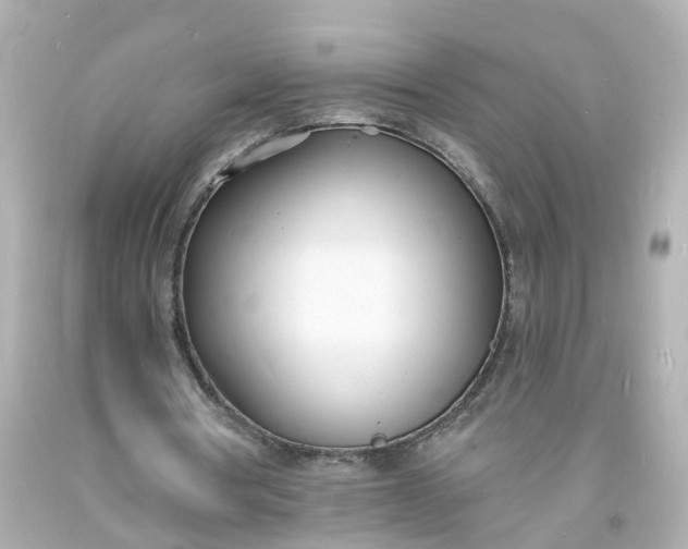 X0000093600386200710291149