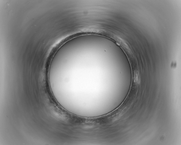 X0000093600388200710291149