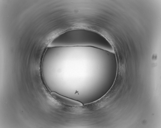 X0000093600389200710291149