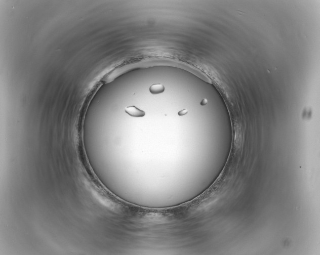 X0000093600390200710291149