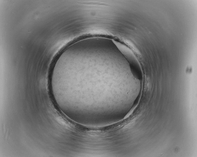 X0000093600391200710291149