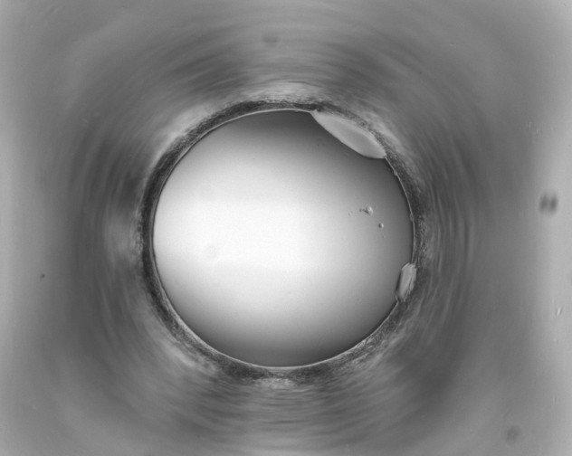 X0000093600392200710291149