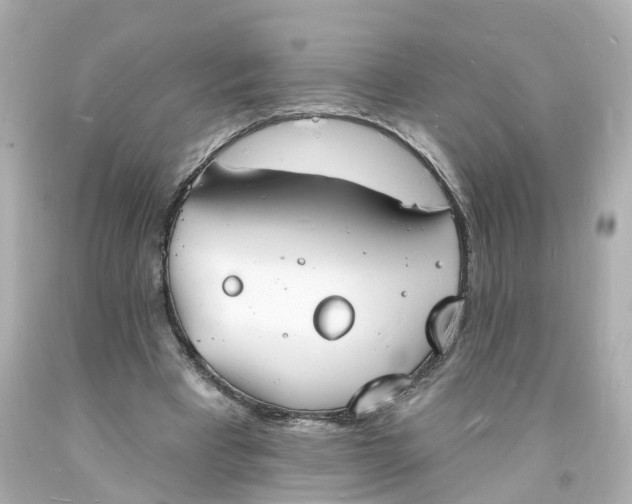 X0000093600393200710291149