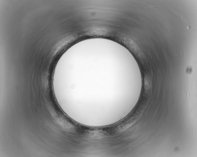 X0000093600396200710291148