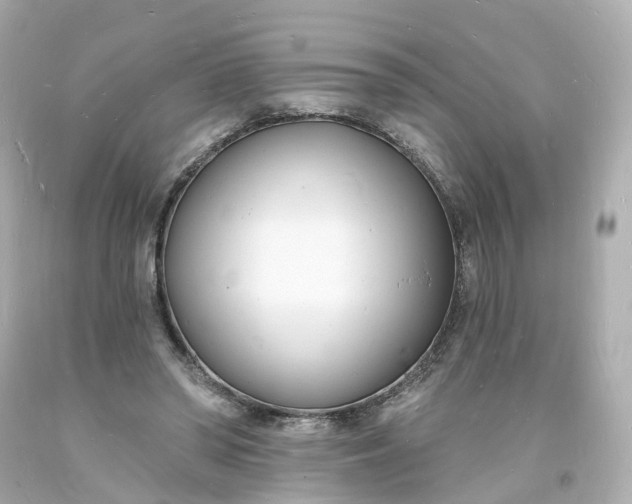 X0000093600398200710291148