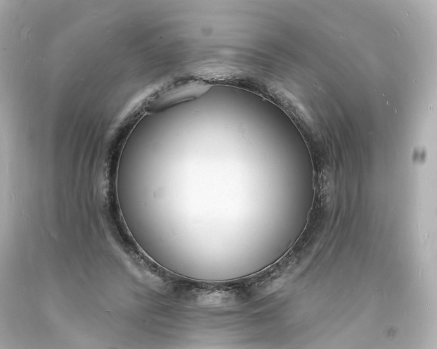 X0000093600400200710291148