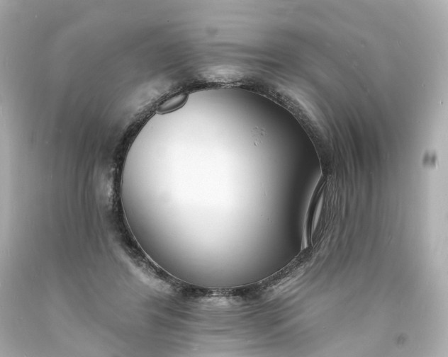 X0000093600404200710291148