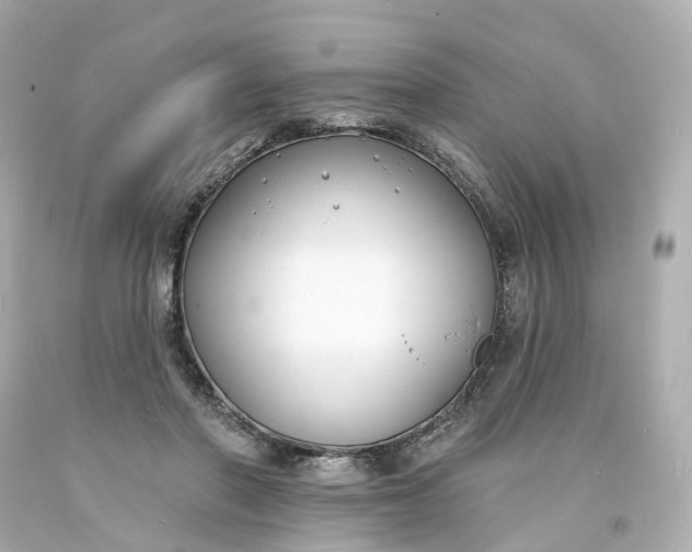 X0000093600406200710291148