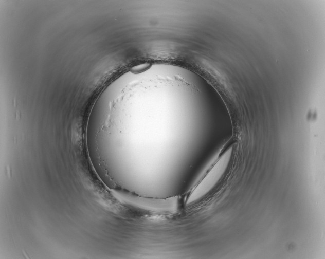 X0000093600407200710291148