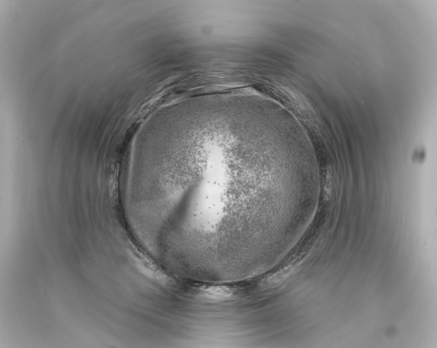 X0000093600409200710291148