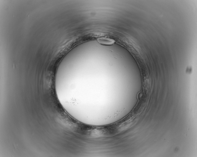 X0000093600412200710291148