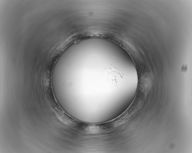 X0000093600413200710291148