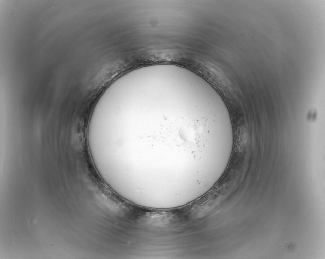 X0000093600414200710291148