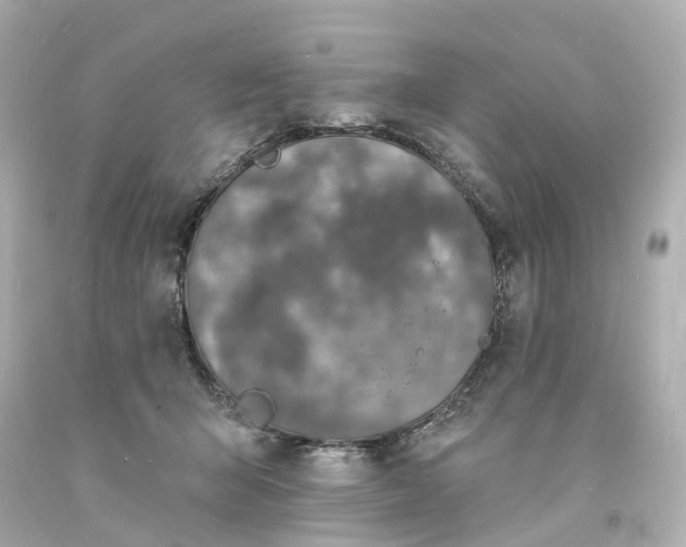 X0000093600415200710291148