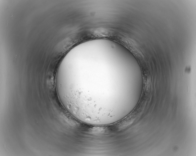 X0000093600418200710291148