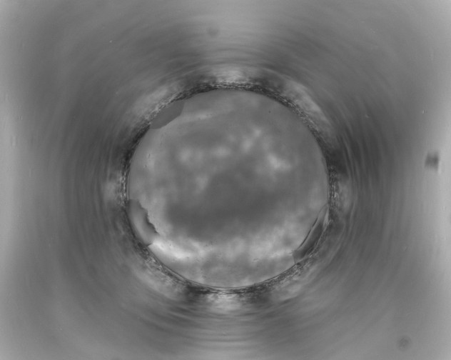 X0000093600419200710291148