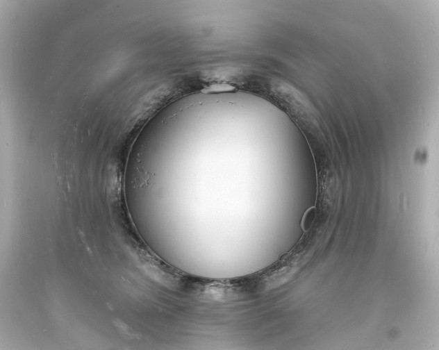 X0000093600420200710291148