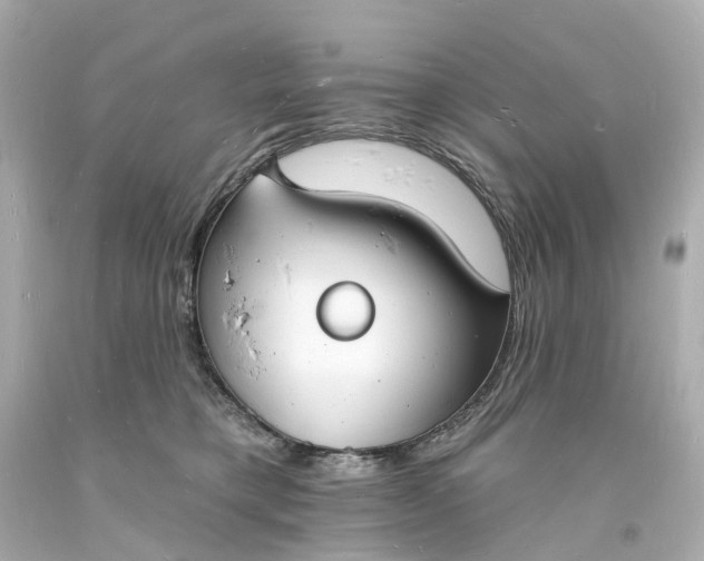 X0000093600421200710291148