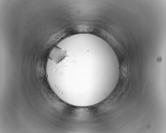 X0000093600422200710291148