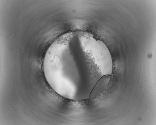 X0000093600423200710291148