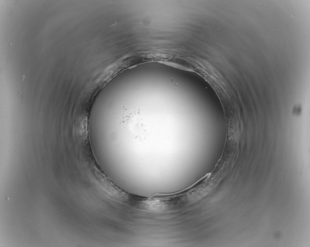 X0000093600425200710291148