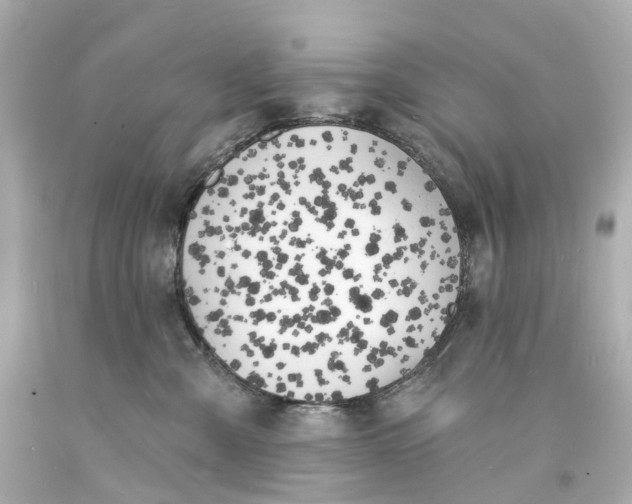 X0000093600427200710291148