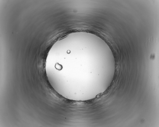 X0000093600428200710291148