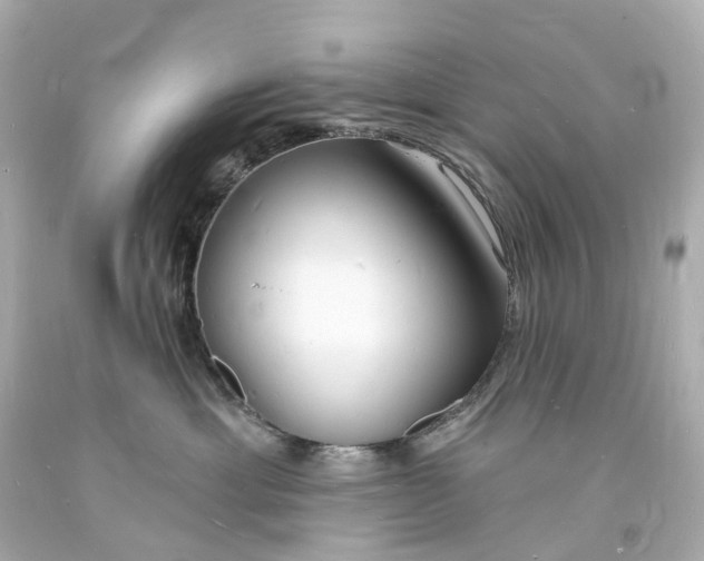 X0000093600429200710291148