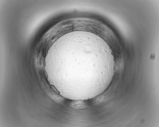 X0000093600431200710291148