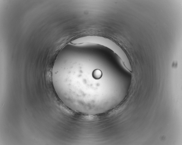 X0000093600432200710291148