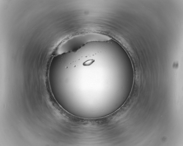 X0000093600434200710291147