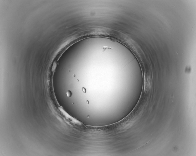 X0000093600435200710291147