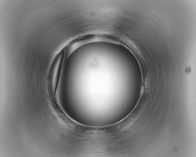 X0000093600436200710291147