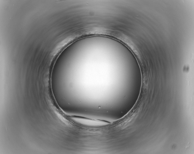 X0000093600437200710291147