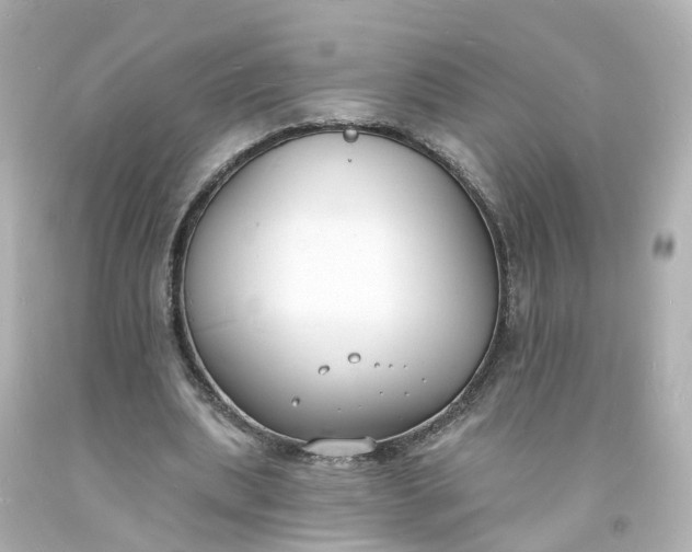 X0000093600439200710291147