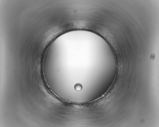 X0000093600442200710291148