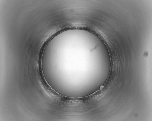 X0000093600443200710291148